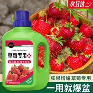 【有機肥】【花肥】草莓苗專用肥料 濃縮營養液 家用生長期坐果期盆栽果蔬通用有機肥料