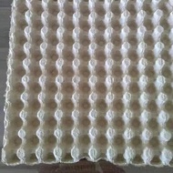 EGG TRAY KARTON TELUR PUYUH