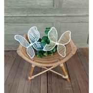 Newborn Butterfly Wings Photo Props for Photo Session (Butterfly Wings)