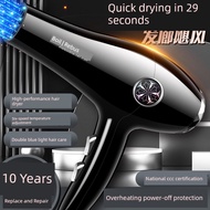hairdryer hair dryer Hair Dryer Household High-Power Negative Ion Hair Care Quick-Drying Hair Dryer 