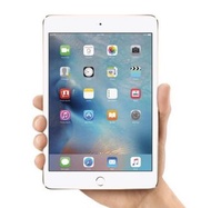 🈹引 iPad Mini 2 Wifi white 16gb