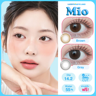 คอนแทคเลนส์ Mio Gray / Brown (Kitty Kawaii) ขนาดมินิ 🌷