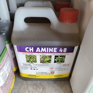 4L CH AMINE 48 RACUN KELADI