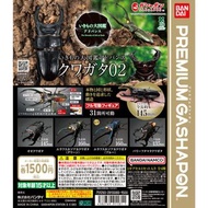 ［現貨］扭蛋 【90Φ】THE DIVERSITY OF LIFE ON EARTH ADVANCE STAG BEETLE 02	大圖鑑系列 鍬形蟲2
