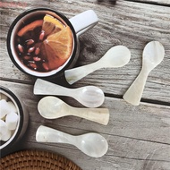 KODICEP1 Teaspoon Seashells Conch Shell Stirring Tool