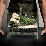 荒原之生 / 客製化微景觀開放生態缸 / 龜紋石