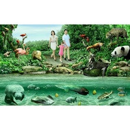 River Wonder wonders Safari cheap ticket discount with panda view universal studios aquarium zoo bird park