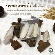 กระดองปลาหมึก/ลิ้นทะเล (Organic cuttlebone) อาหารเสริมแคลเซียมไอโซพอด นก ไก่ เต่า ธรรมชาติ100% ไม่ฟอ