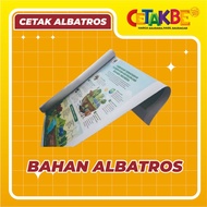 PRINT ALBATROS INDOOR POSTERS