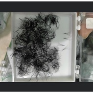 READY STOCK PREMADE 5D 0.07 C & D curl