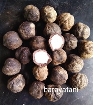 KEMIRI 1 KG / KEMIRI BATOK UTUH BULAT PREMIUM 1 KG