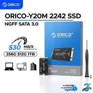 ORICO M.2 SATA SSD 2242 SATA III 6Gbps Internal M.2 SSD NGFF SSD for Desktop/LaptopORICOY20M
