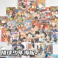 Volleyball Boy Poster Hyuga Shoyo Kageyama Feixo Room Bedroom Wall Decoration Background Anime Wall 