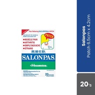 Hisamitsu Salonpas Patch 20pcs