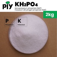 [2kg] MKP Monopotassium phosphate 0-52-34