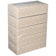 Smart Value Recycled Tissue Paper, 5 Boxes N162J
