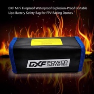 DXF Battery Safety Bag