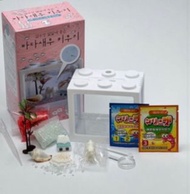 【最後白色一盒】養蝦樂趣水族箱