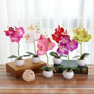 Artificial flowers with vase artificial flowers living room display flowers table decoration flower feel butterfly orchid art home decoration silk flower