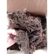 Dried kadaka root Moss/250grm