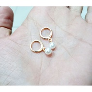 New Shell Pearl Stud Earrings 24k Gold Plated Pay On The Spot