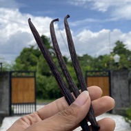 2-3g/pod VANILLA BEAN from your own garden GRADE RETAILa - VANILLA BEAN - VANILLA SEEDS - DRY