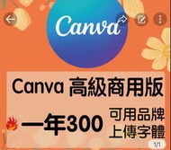 Canva pro 團隊版 年費450