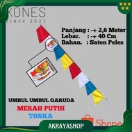 Flag Flag Saw Flag Colorful Flag Ori