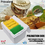 PREVALENT Beekeeper Garden Pollination Box, Beekeeping Equipment Box Bee Mating Box Queen Bee Breedi