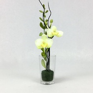 แจกันดอกไม้ปลอมจิ๋ว กล้วยไม้พร้อมแจกันแก้วขนาดเล็ก Artificial small orchid in glass