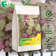 Benih Bayam Merah 1 kg TANAM SEED Unggul Nutrisi Tinggi Bisa Cabut Atau Potong