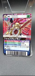 閃光暴龍獸 Digimon 數碼暴龍 舊版 閃卡