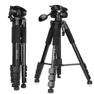 QZSD Q111 By Mastersat  Tripod With HeadBall ขาตั้งพร้อมหัวบอล For DSLR Camera รับน้ำหนัก สูงสุด 5 K