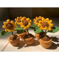 Mini flower pot - beautiful mini sunflower plant pot