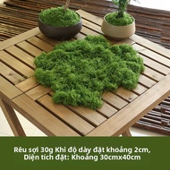 Sống Động Như Thật Rêu Nhân Tạo Evergreen Plant Accent Cho Đồ Thủ Công DIY Trang Trí Nội Thất Cảnh Q