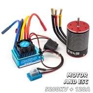 RC 3650 Brushless Motor For Axial Traxxas TRX4 RC Crawlers 1/10 Car Parts Accs Toys Trucks Tanks 365
