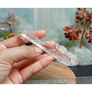 High Quality HQ Mongolia Singing Lemuriannatural (11)