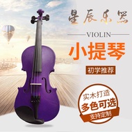 Wooden Beginner Violin Adult Children Practice Violin Purple Violin Colorful Violin Wholesale
