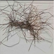 GRED AAA [10 PCS] B.P ASLI/AKAR/BULU/PERINDU/SANJEEVI VER