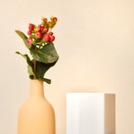 Daily Scent S/S - Peach Iced Tea