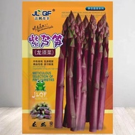 Purple Asparagus Seeds Asparagus Seeds Asparagus Seeds Vegetable Seeds Vegetable Seeds Vegetable See