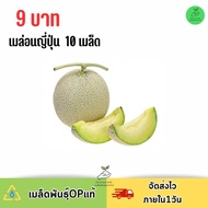 9 บาท เมล็ดพันธุ์ เมล่อนญี่ปุ่น 10 เมล็ด  กรอบฉ่ำ