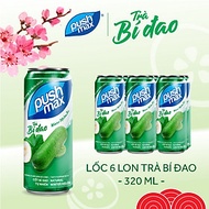Lốc 6 Lon Nước Trái Cây Trà Bí Đao Pushmax (320ml x 6 Lon)