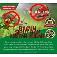 RACUN SIPUT / LINTAH BULAN GRED PREMIUM / SNAIL POISON