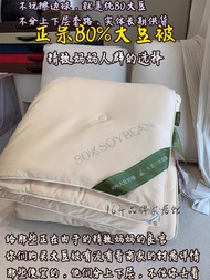 Soft Warm Comforter Duvet