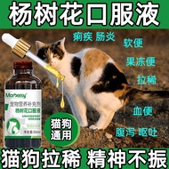 Cat Diarrhea Medicine Dog Cat Pull Belly Medicine Dog Pull Belly Pull Belly Medicine Pet Diarrhea Me