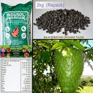 BAJA DURIAN BELANDA - Organic Premium - 2kg (Repacking)