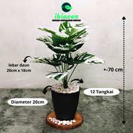 POHON MONSTERA JUMBO ARTIFICIAL DAUN MONSTERA PLASTIK POT MONSTERA JUMBO CORAK PUTIH DEKORASI TANAMAN PLASTIK