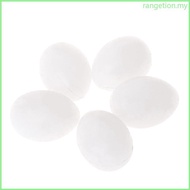 RAN 5Pcs Solid Parrots Plastic Eggs White Solid Hatching Eggs for Green Cheek