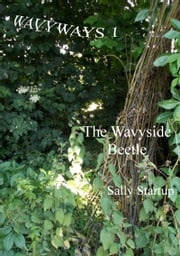 The Wavyside Beetle Sally Startup